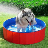 Piscine pliable pour chien