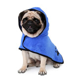 petit chien portant un peignoir bleu