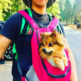 homme qui porte son chien dans un sac à dos de transport pour chien rose